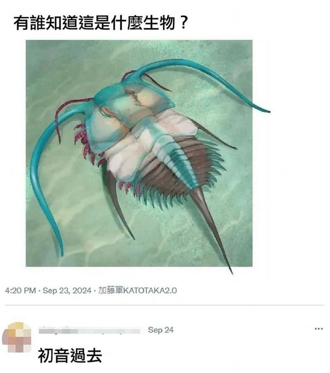 【#海马体回应考研报名被禁用#：店里有专门拍摄公务员、研究生考试照】近日，在20