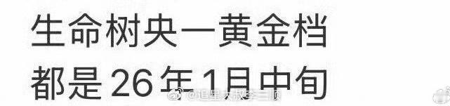 杨紫生命树造城者央一开年黄金档，期待白菊