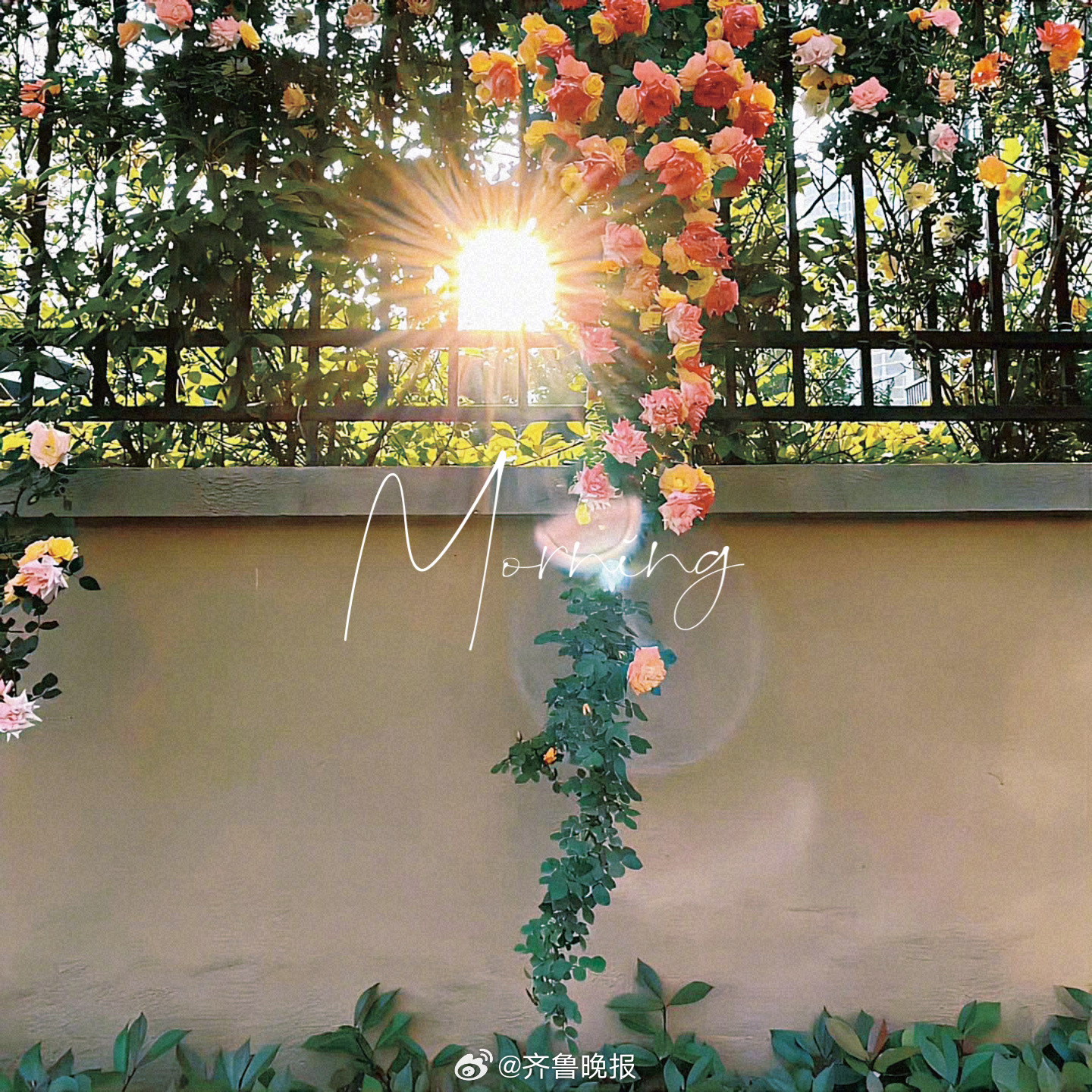 多转几个弯也终将会到达#早安#