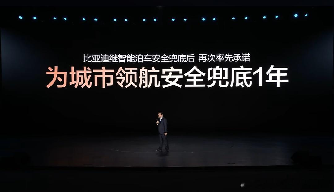 比亚迪智能化战略发布会窝巢，城市领航兜底！你船夫哥牛逼不！有些友商，脸呢？不牛逼