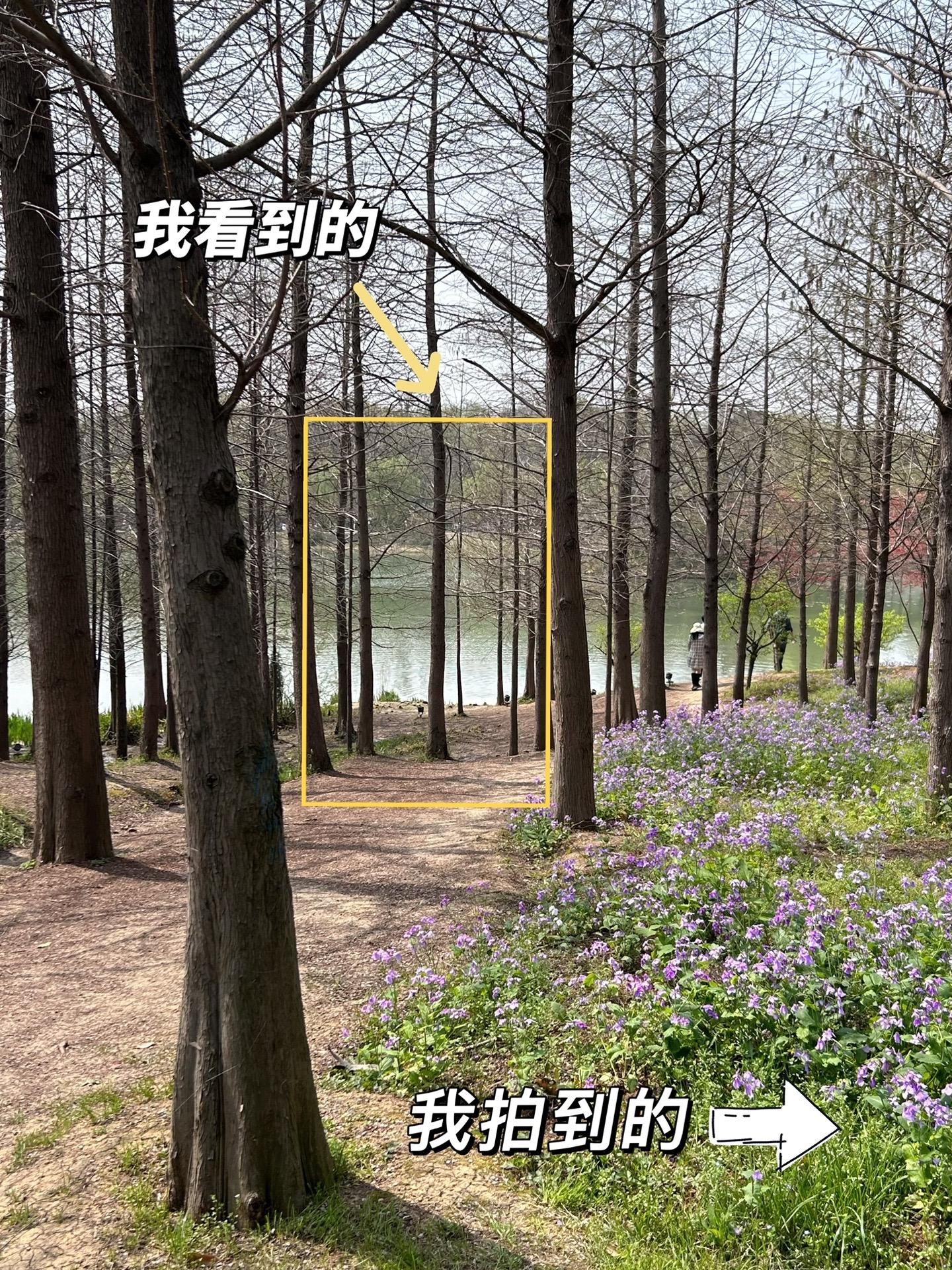 往事流转｜我看到的VS我拍到的。