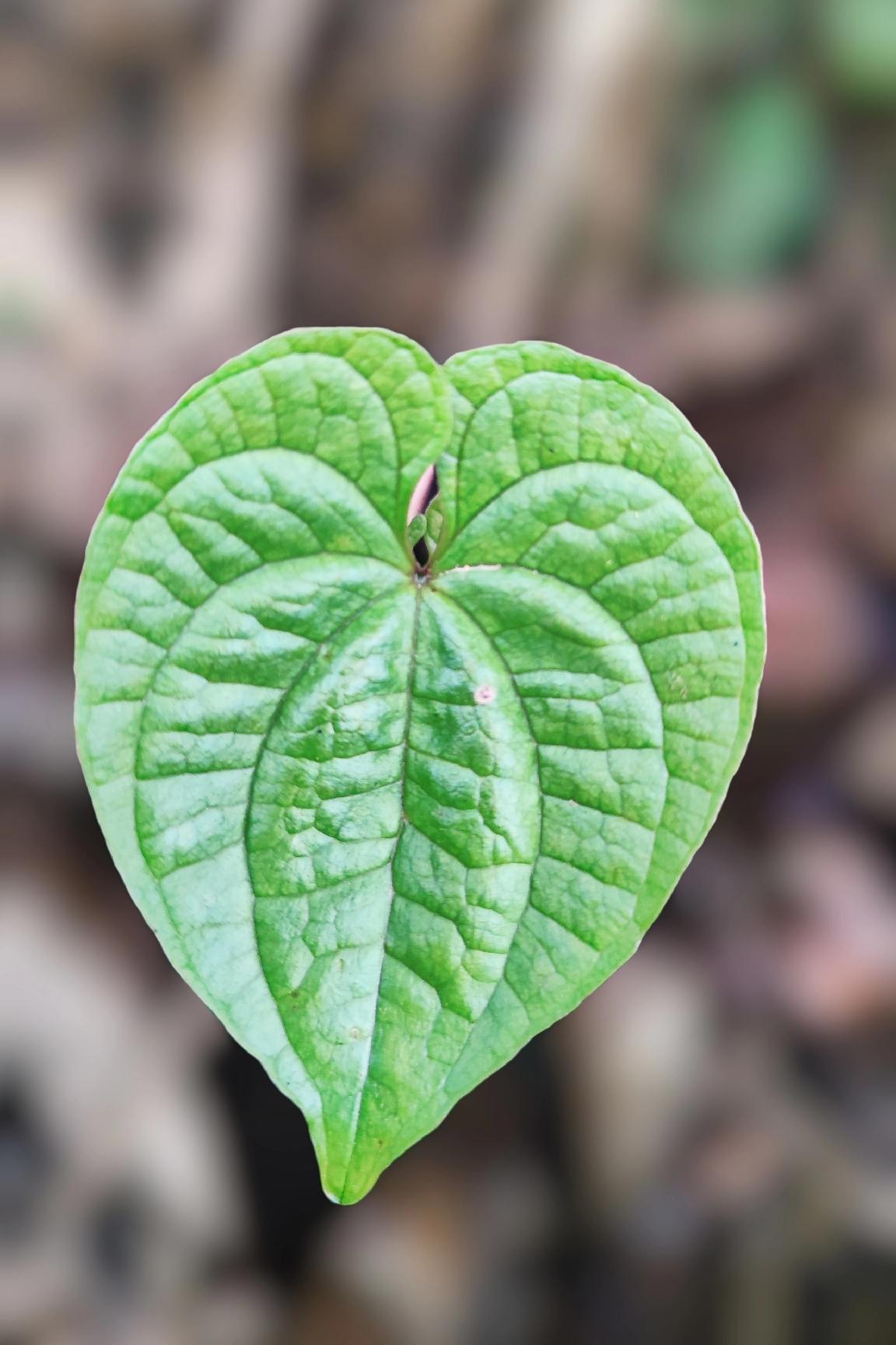 不要迷恋认知，
这世间，
再高的认知，
也抵不上你内在的纯粹！
因为，
只有内在