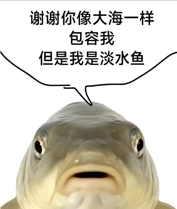 6559 