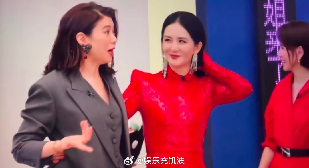 谢娜一直不停地拉着袁咏仪说话乘风初见面直播乘风2026 姐姐们同框太养眼，谢娜一