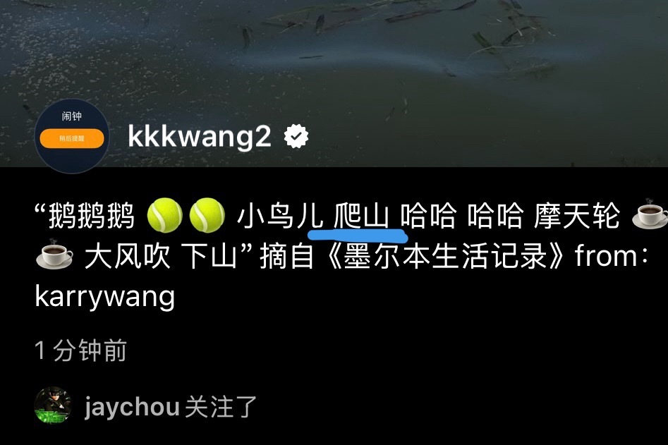 这两张感觉也像是karry in 猫儿本（不是就当我没说