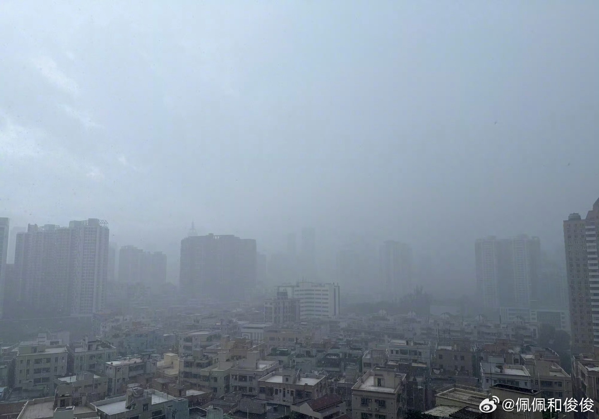 【2026深圳中考语文作文 深圳中考作文题目出炉！】摘首场语文科目刚刚结束，大家
