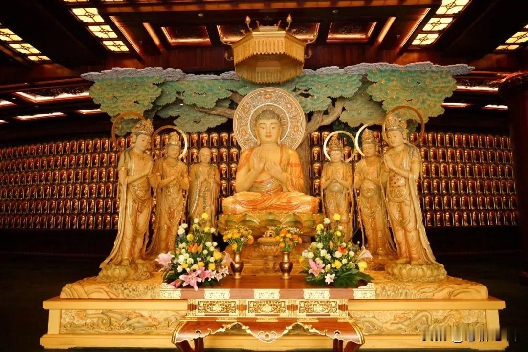 大安法师讲故事 124.智慧第一舍利弗
原创 大安法师 东林法音
 2022年0