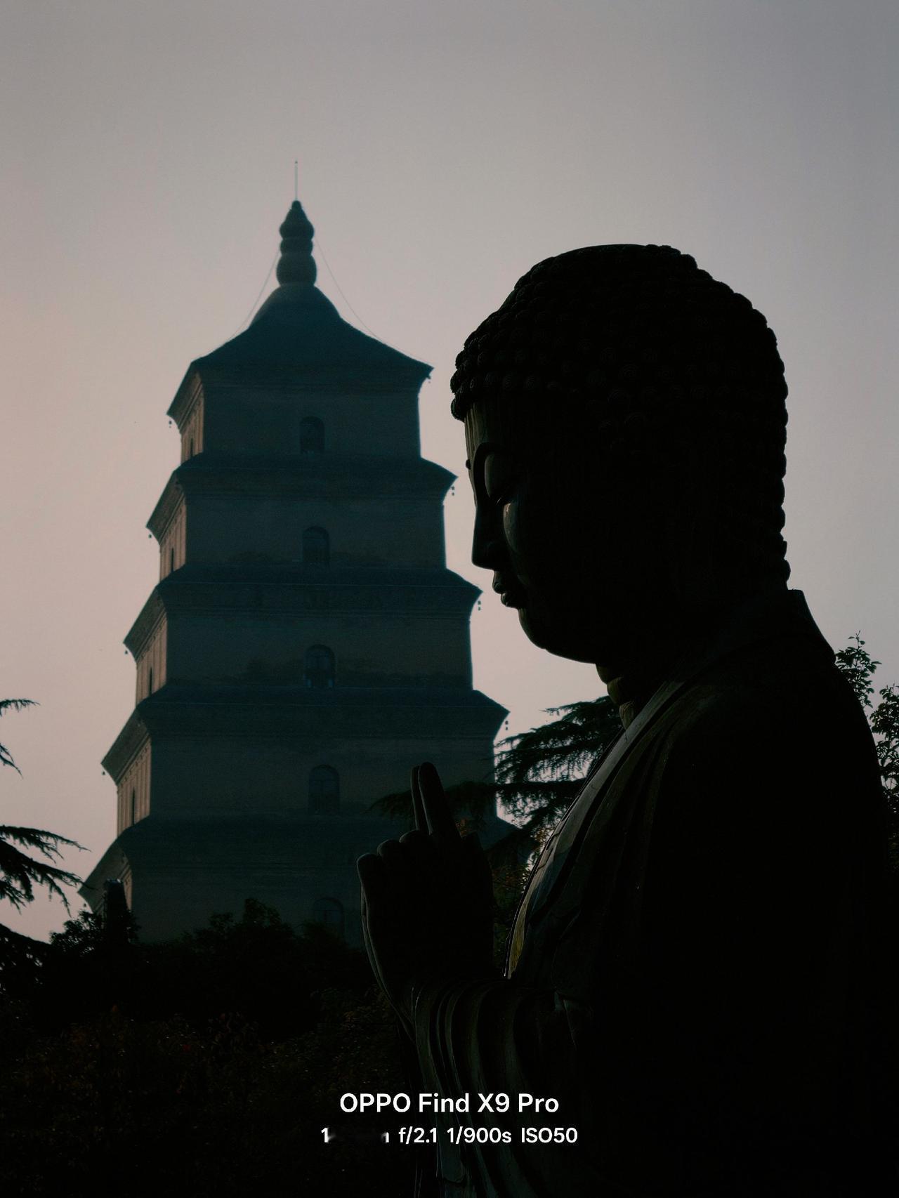 配方在这了
清新滤镜强度：80％
柔光：关
影调：-34
饱和度：8
冷暖：2