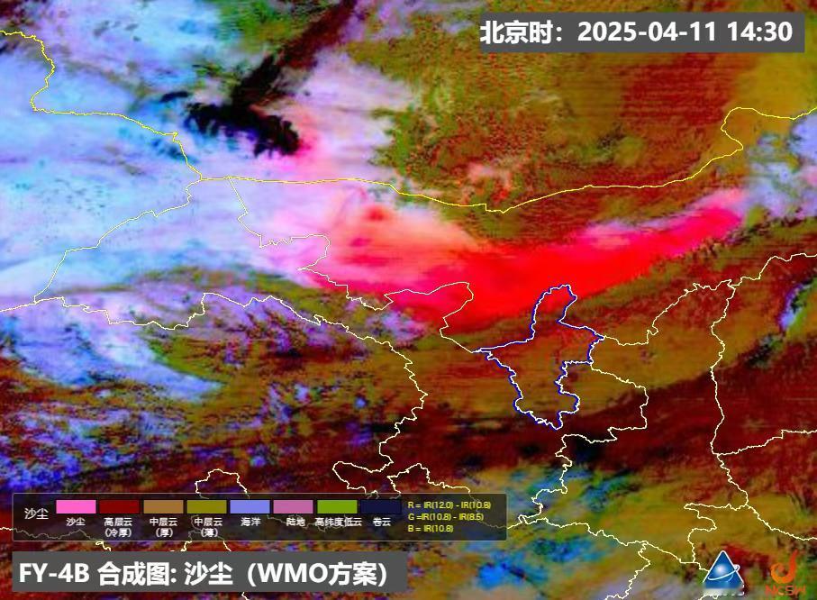 宝山家后院的一群鸡

吴绍东
 
                       
