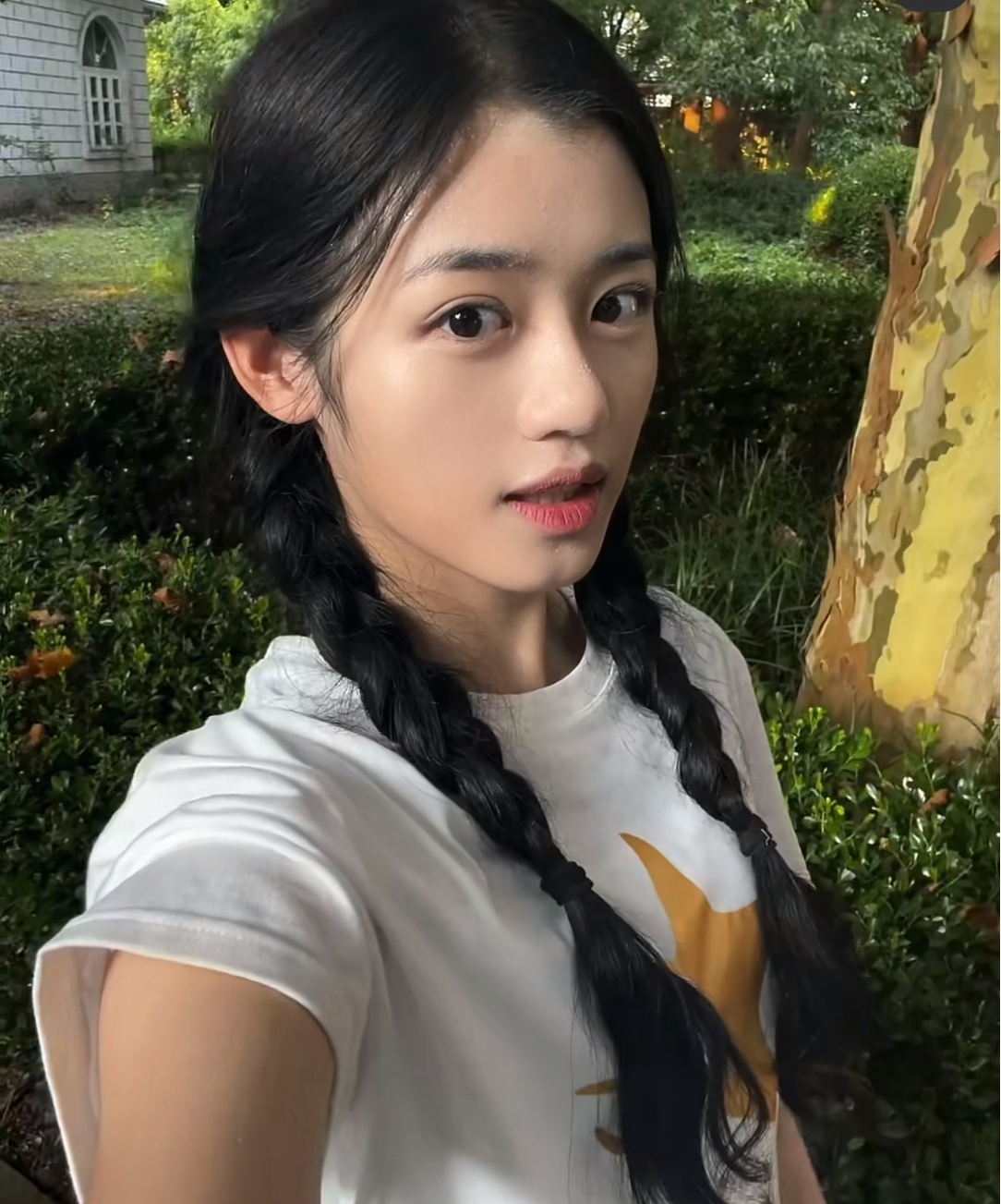 于正公司新人能成为第二个张婧仪吗？ ​​​