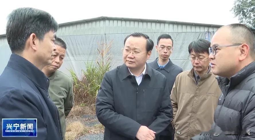 梅州市副市长陈亮到兴宁市黄槐镇调研，陈亮先后到教育基地、原建井处、植树点、三矿竖