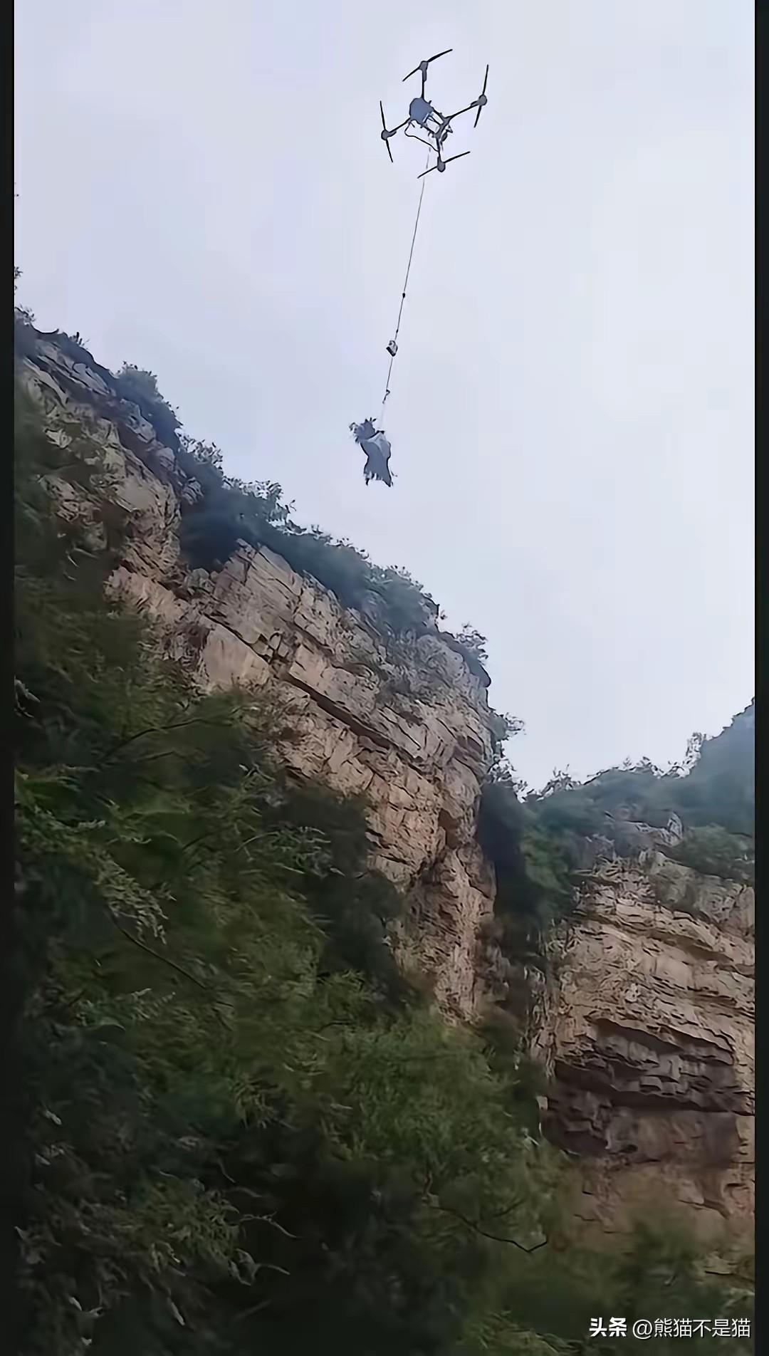 程梦圆找到了。
在张良垴悬崖底下。
二十二岁，刚毕业，还没来得及站上讲台。
评论