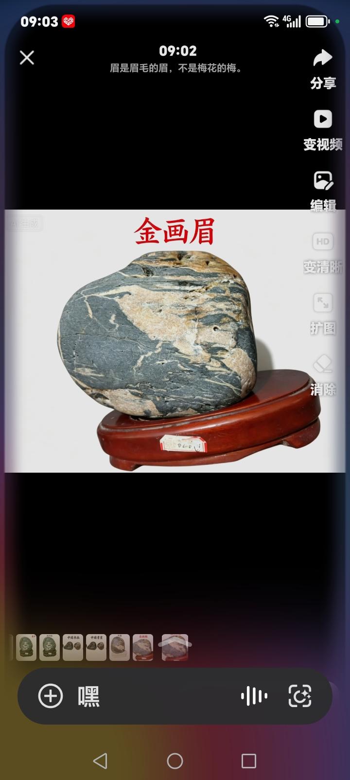 《金画眉》