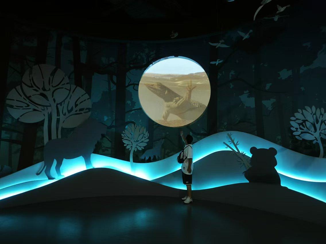 今年都没时间出去走一趟了