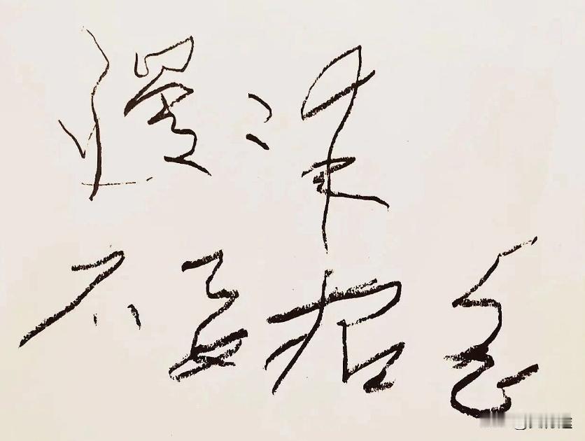 毛主席在1976年最后的时间里写的字。
看了半天也没分辨出来， 各位能认出来吗？