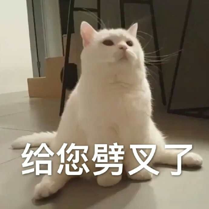 腊月初一了啊。今天不可以满嘴喷芬，说好话做好事儿，不要起恶念。想刀了一年的领导和