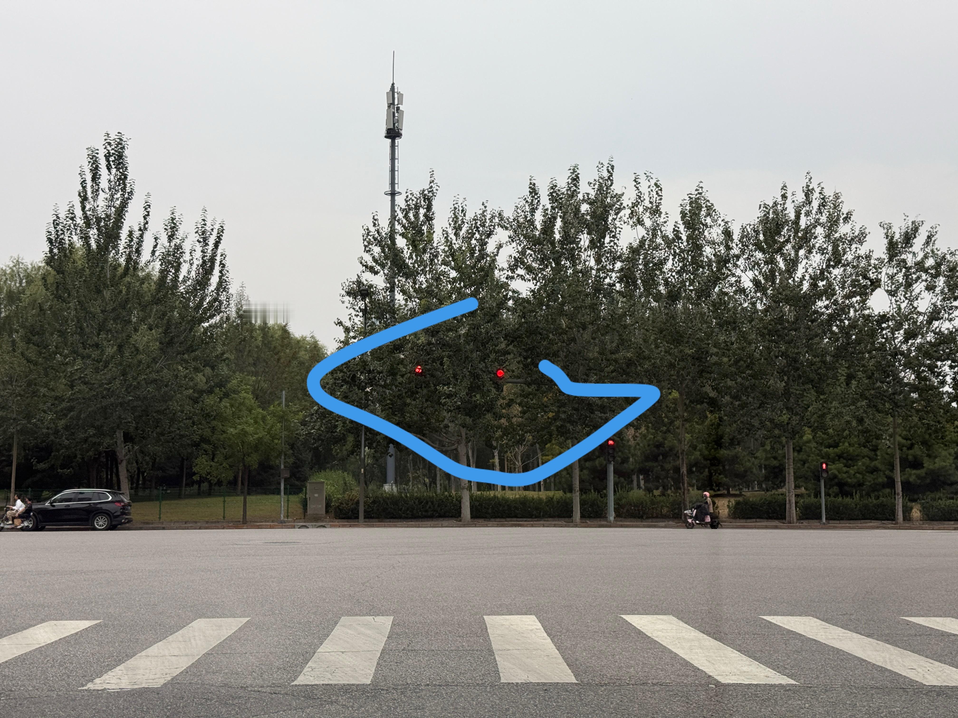 很好奇，这样被挡在树后面的红绿灯，辅助驾驶能识别吗？ 尤其是盛夏的时候，基本上只