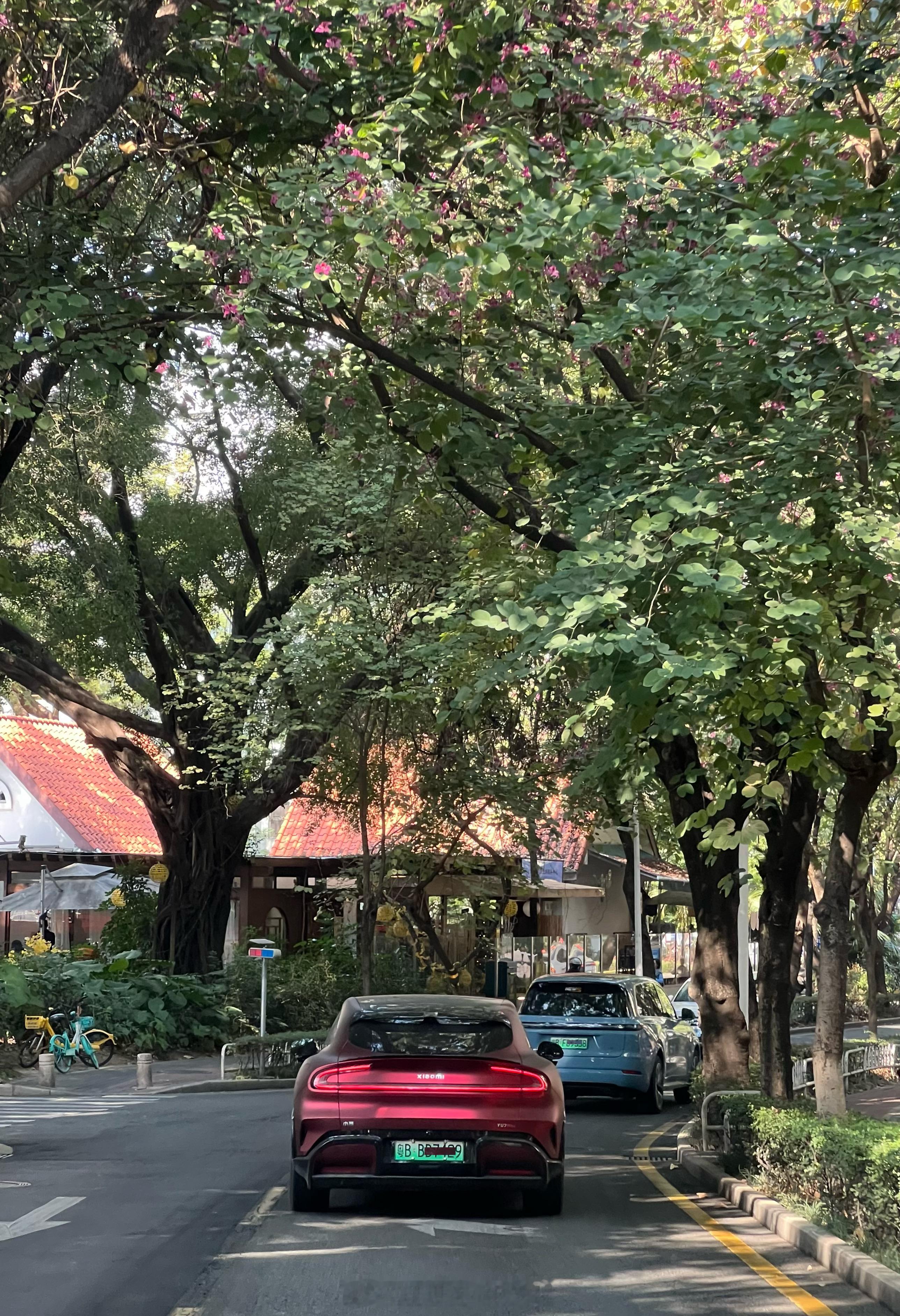 春节连休9天高速免费计划好了，干完一月份，2月1号开始放假！！