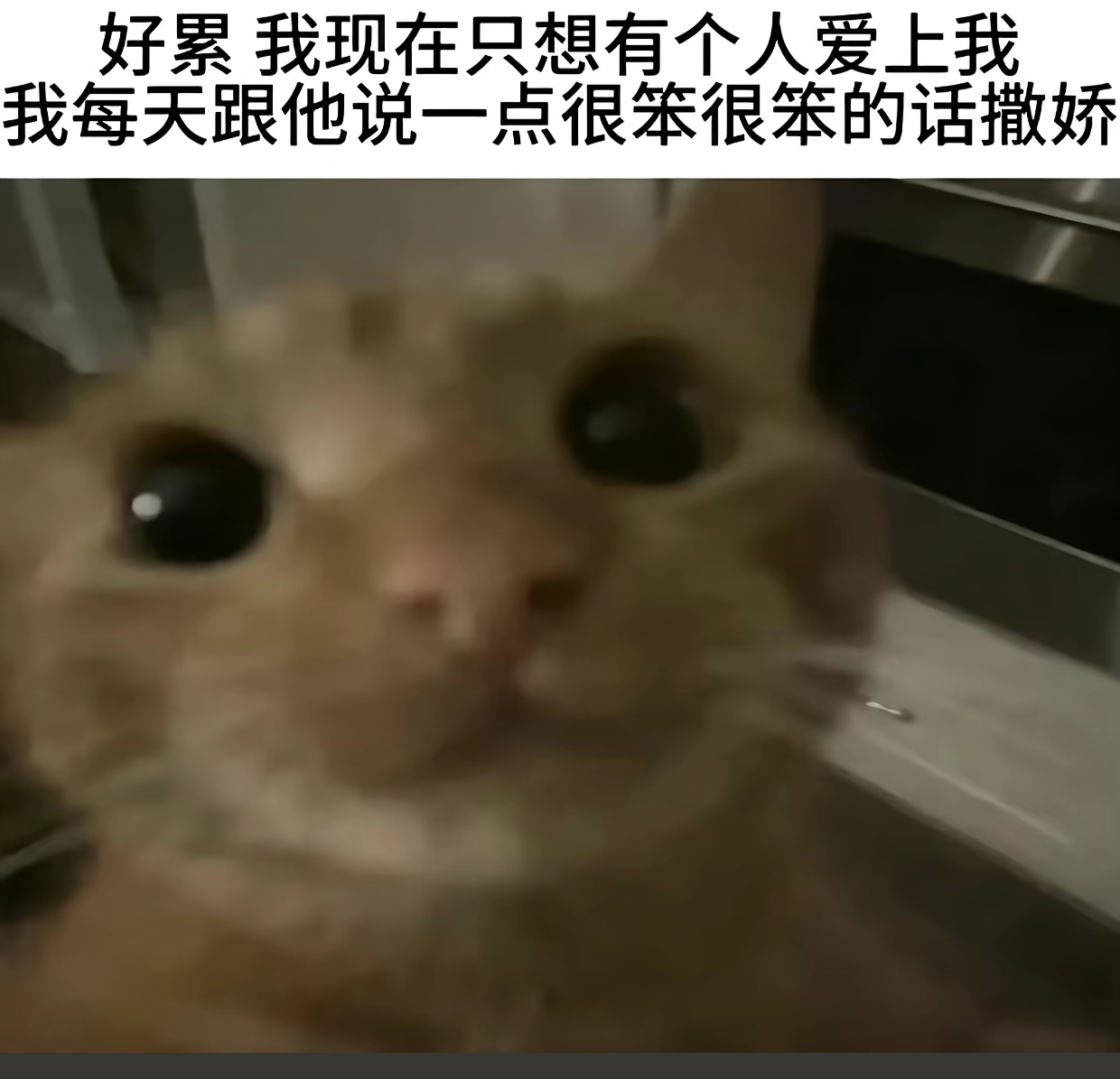 和你撒娇的时候 是不是觉得我好奇怪🥹 
