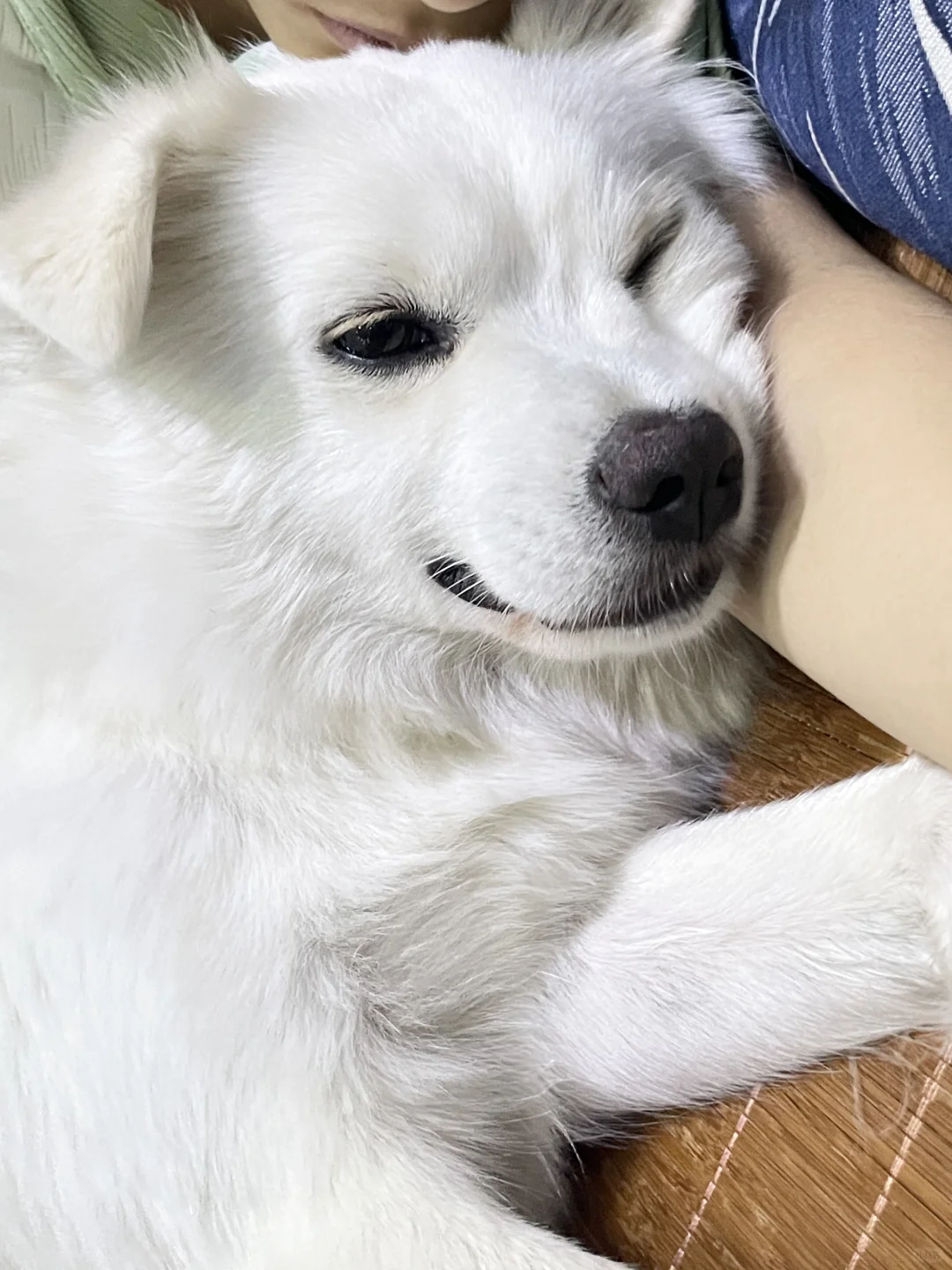 小姨们 侧睡真的长皱纹