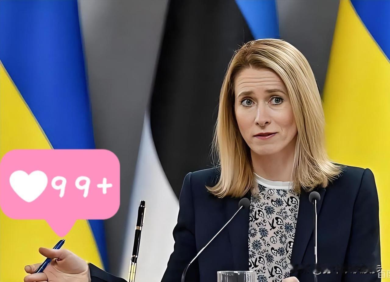 2026年1月14日，综合央视新闻等媒体报道，欧盟外交与安全政策高级代表卡拉斯与