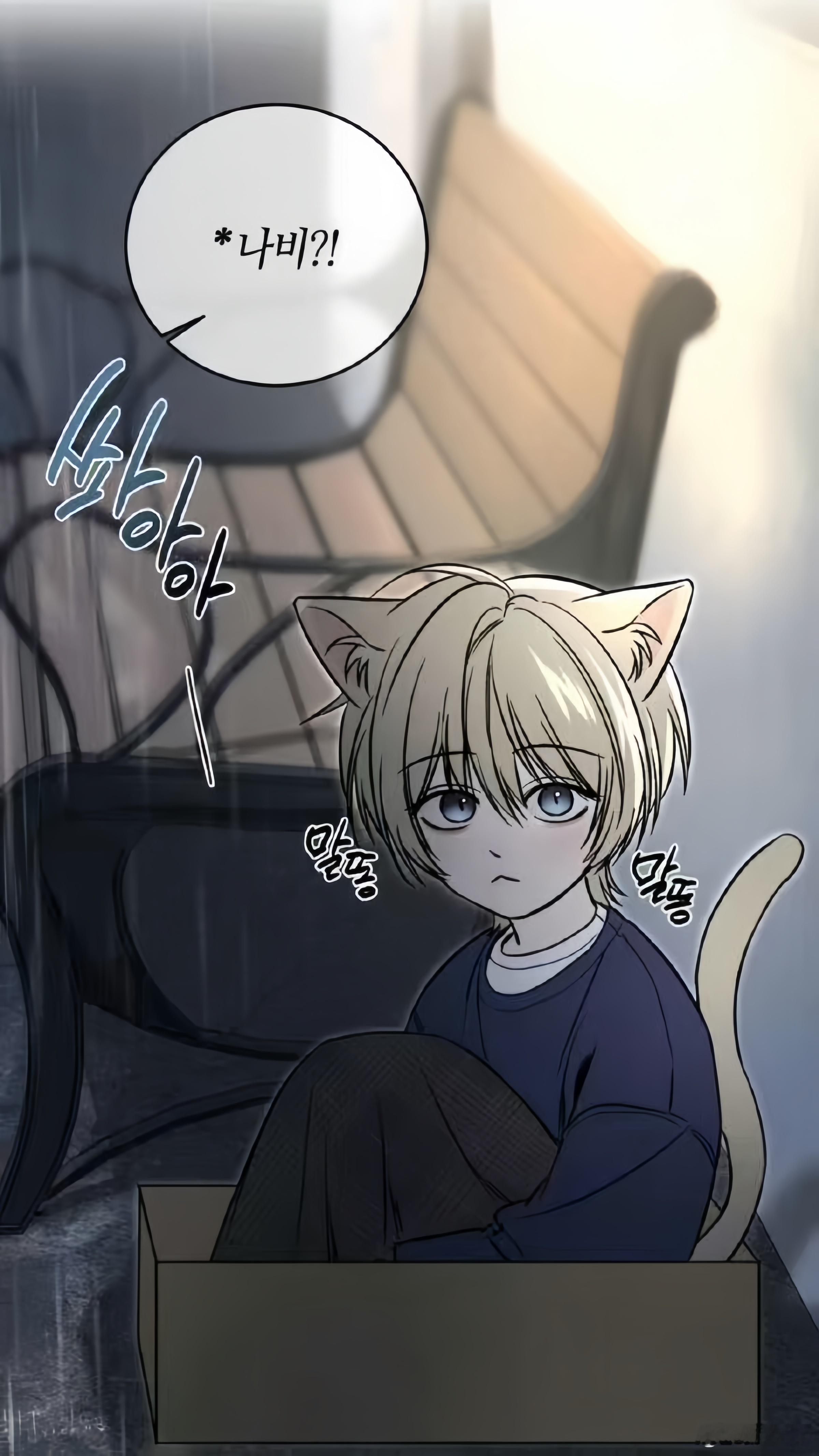 15909我家小猫 