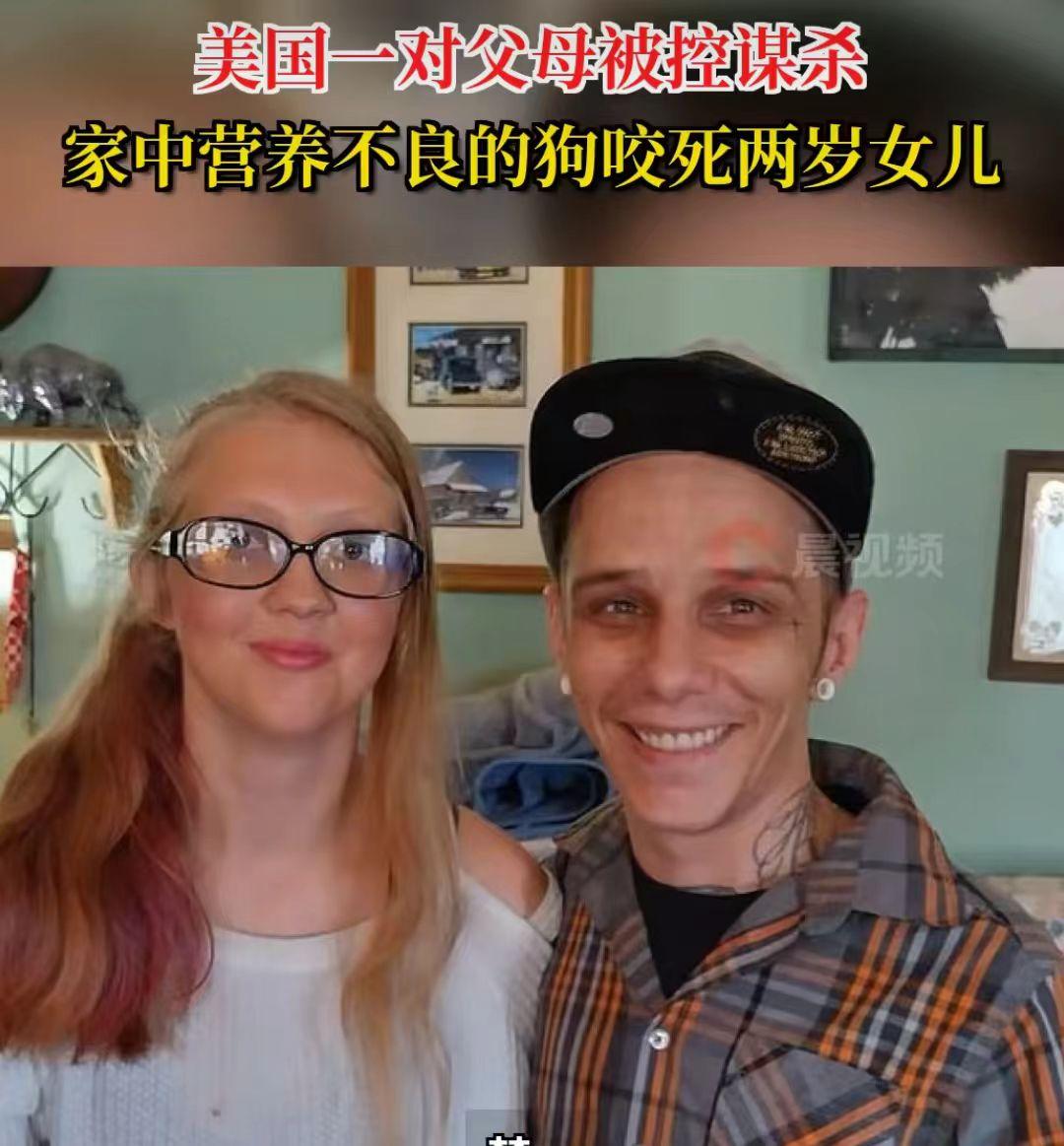 美国发生了一件匪夷所思的事情，孩子两岁，家里养了4条宠物狗，

长期不喂宠物狗，