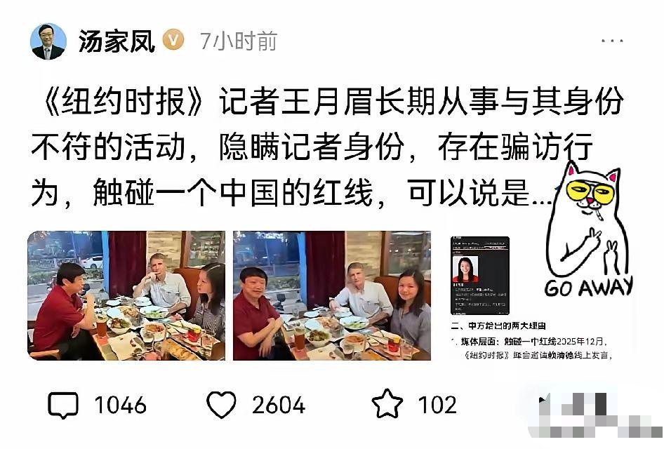 这一次，汤家凤说的没有错！王月眉以美籍华人的身份在中国呆了这么多年，其实她一直隐
