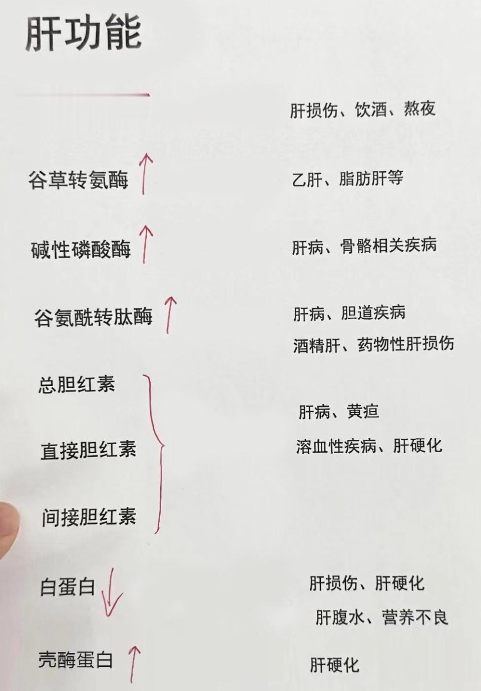肝功能详解！肝功能你会看了吗？可以拿出来你的肝功能化验单对照看一下！