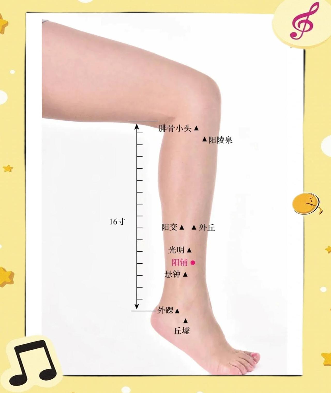 小腿外侧这个“清火开关”，专治偏头痛和肋骨疼！
你有没有这种情况——动不动就偏头