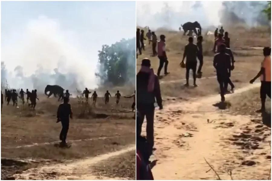 物以类聚  发情的公象失控攻击人类。(照片取自平台X)
(新德里20日综合电)印