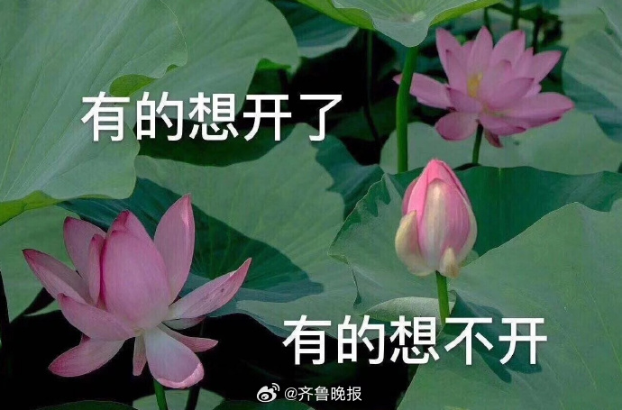 愿每个人都能遵循自己的时钟，做不后悔的选择。#晚安# ​​​