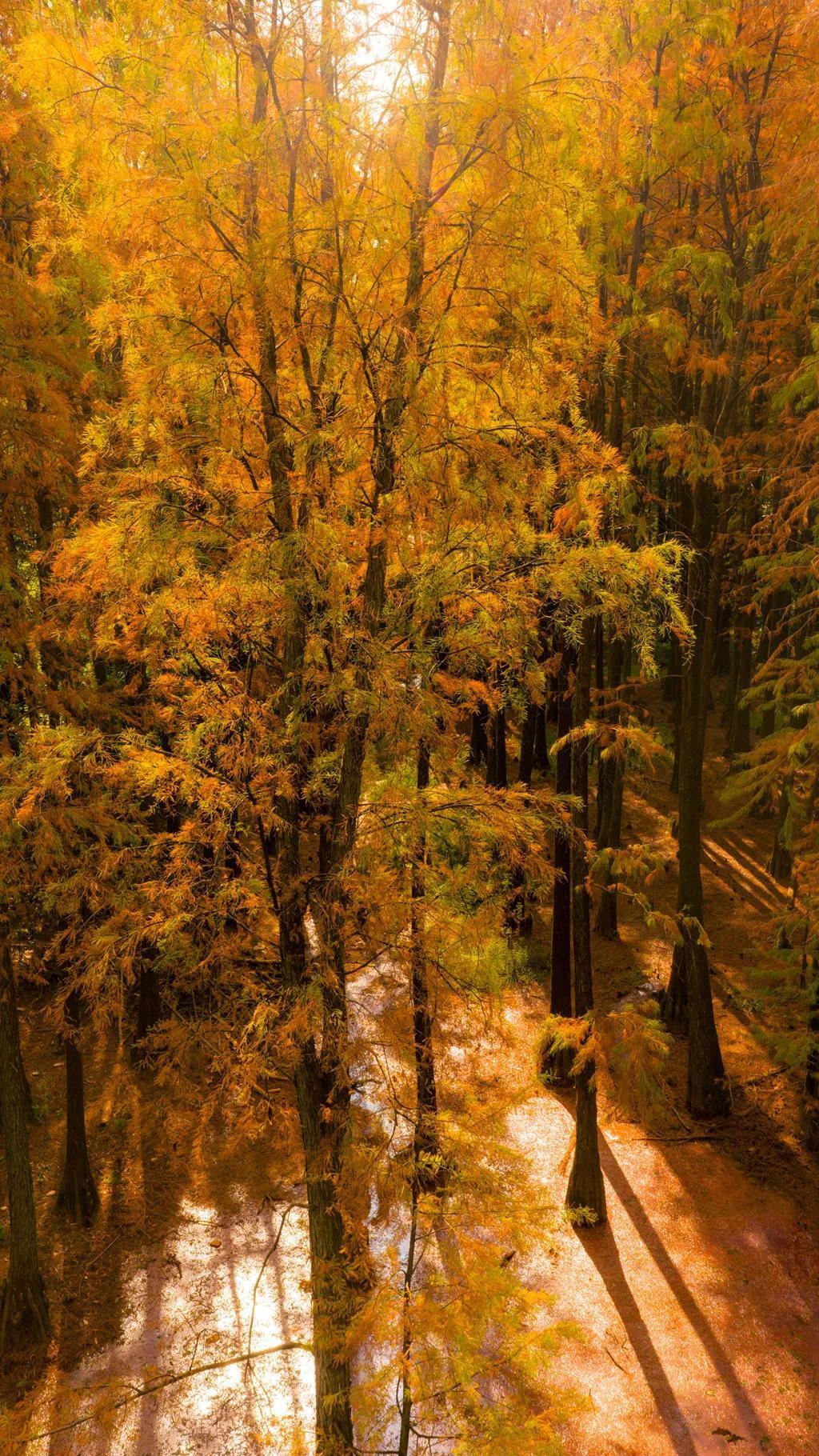 不知大家是否了解，普通老百姓写微文，面临诸多门槛。
同事花了一上午，以文字形式制