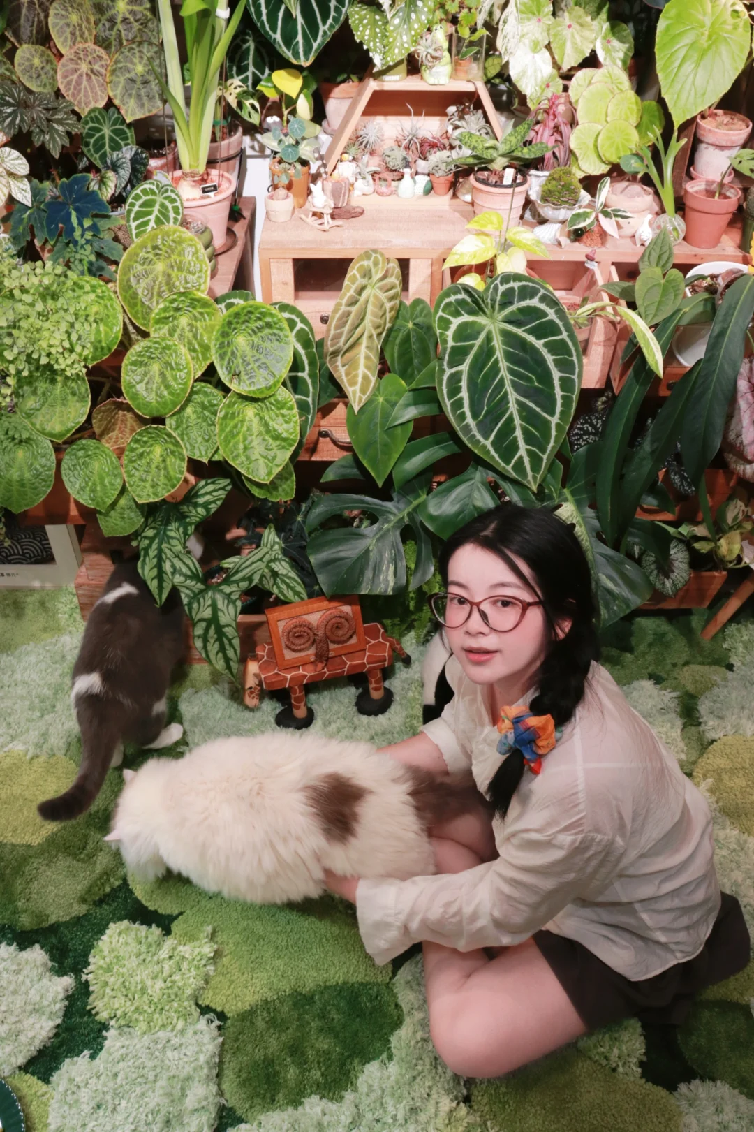 一不小心住进了被绿植环绕的家