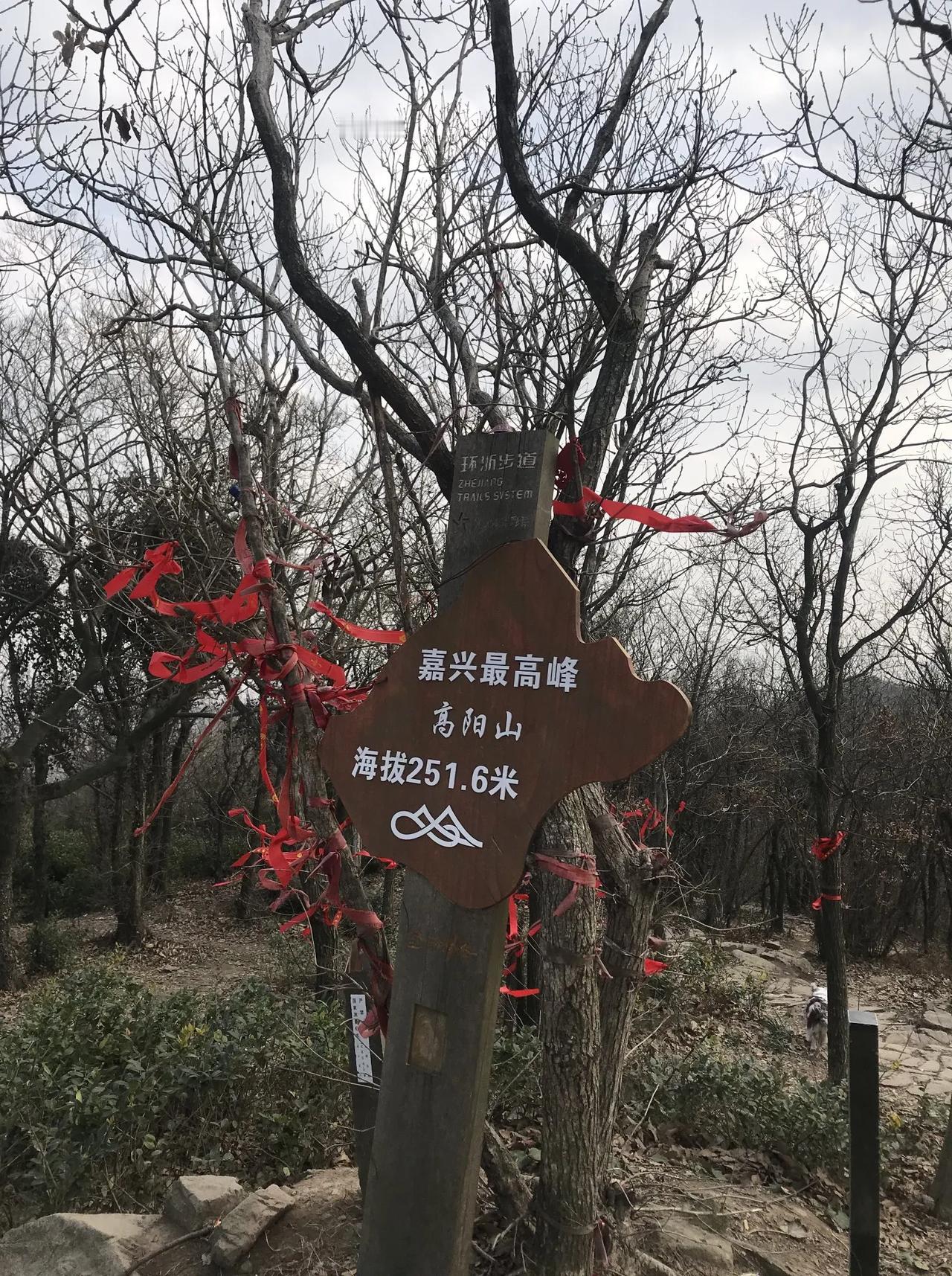 海盐高阳山是一座风景秀丽、文化底蕴深厚的山峰，以下是对其的详细介绍：

一、地理