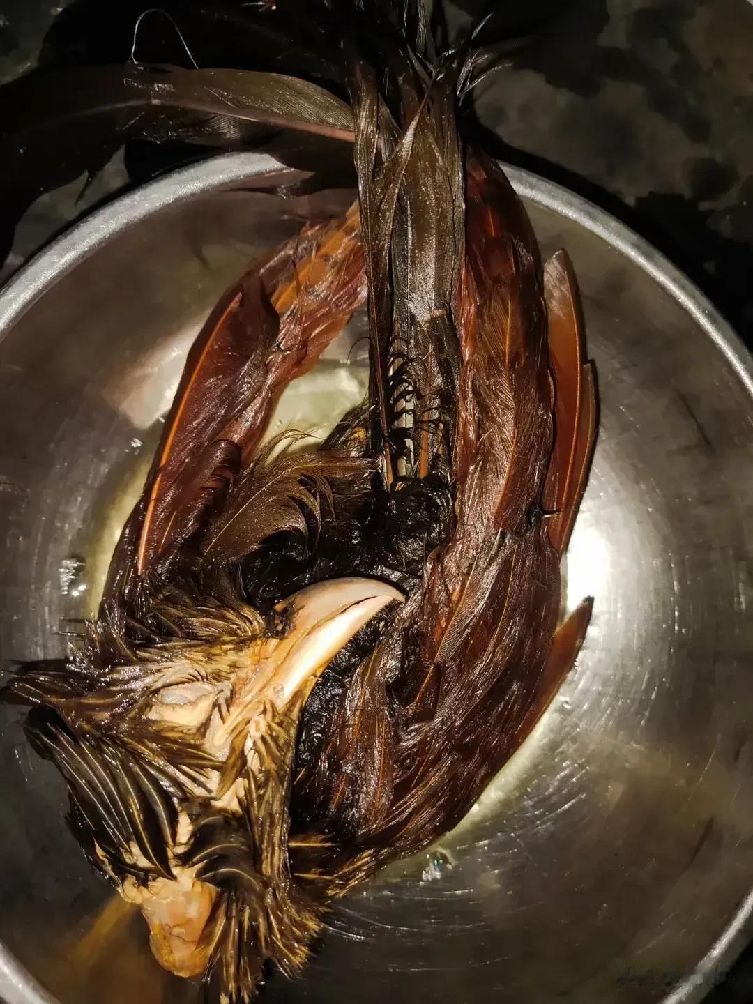 那鸡来泡酒，第一次见，这东西谁敢喝[吐血]