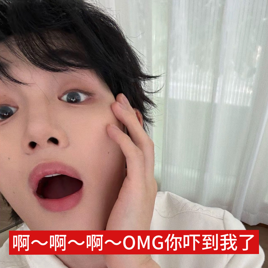 你的品味配不上我啊 