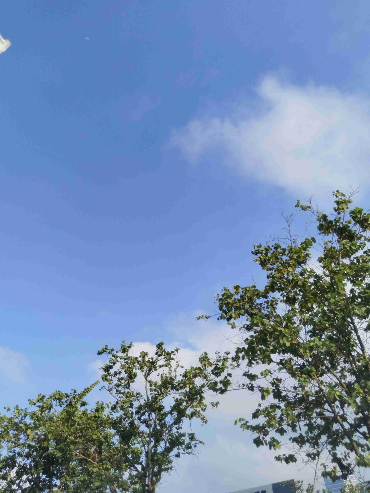 我的今日状态：😁轻松愉快
我这里的天气：🌤️多云
多么快乐的清晨，蓝天白云下