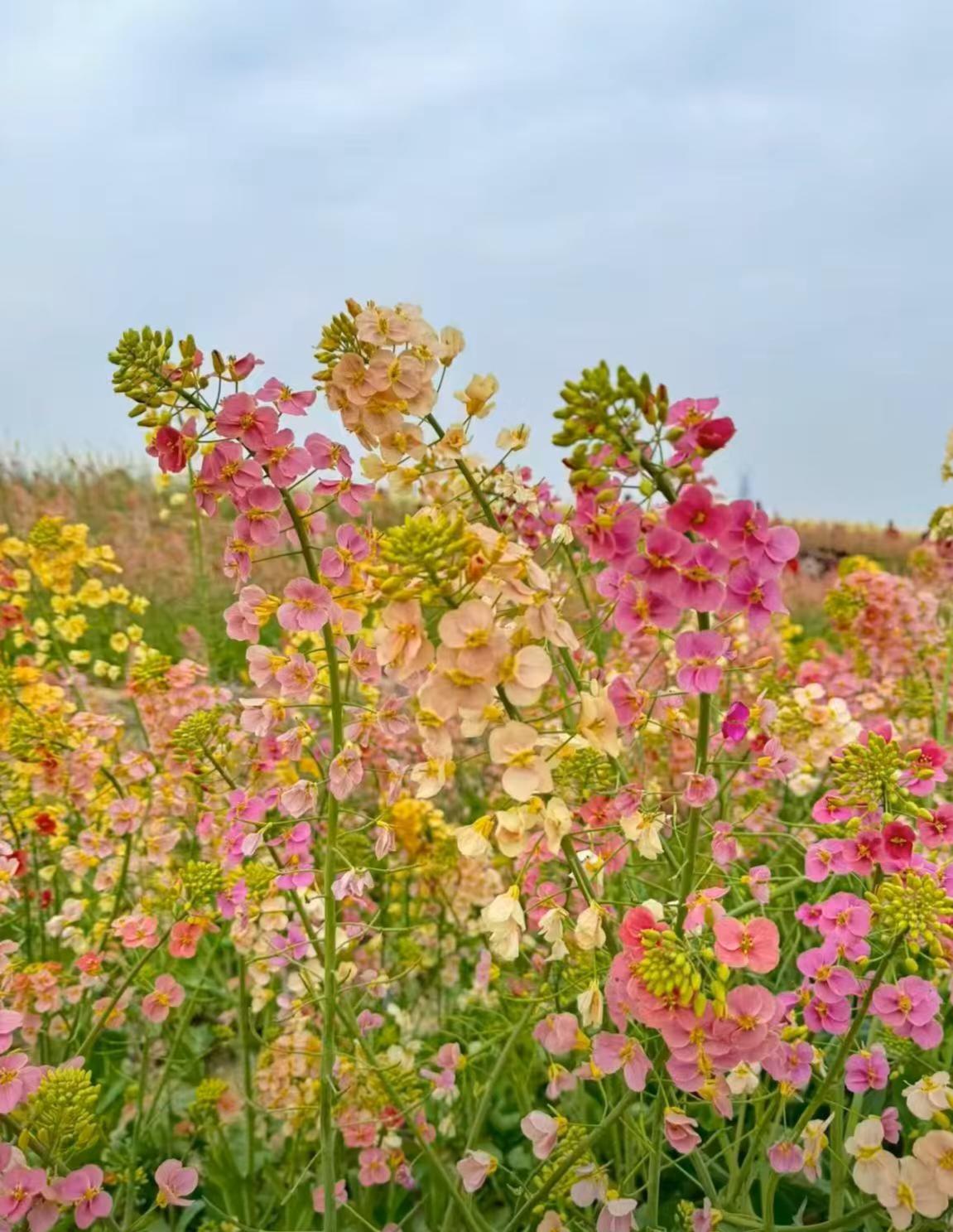 我有个朋友，人到中年遭遇了丧妻之痛，留下两个年幼的儿子。
        那些年