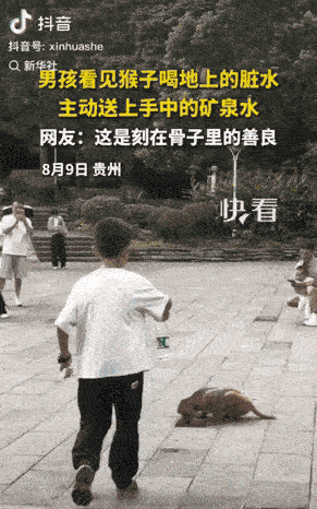 “上新华社了!”贵州景区里，一名小男孩见小猴子喝地上的脏水，于心不忍，将手上的矿