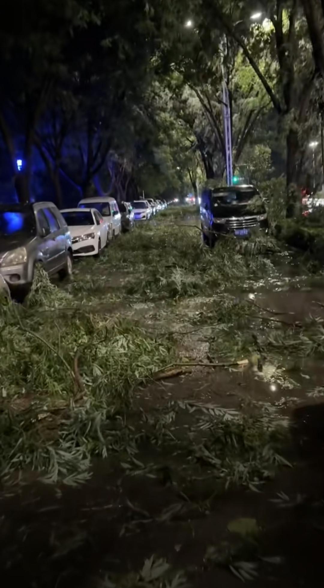 7.8日，长治一场狂风暴雨后，街上绿化损失不小。每条道路都散落着很多树枝，也有一