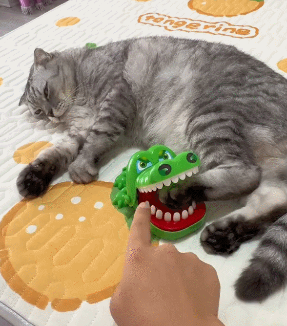 猫咪：人 菜就多练 ​​​