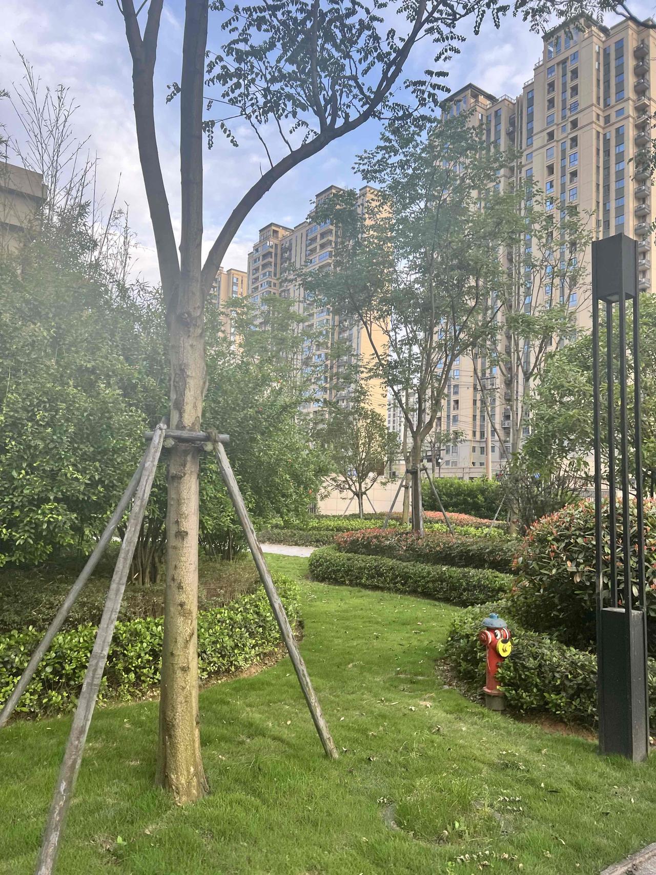 闯红灯已经不对，还带着幼童，真的不应该啊。

走在下班的路上，每次我都是归心似箭