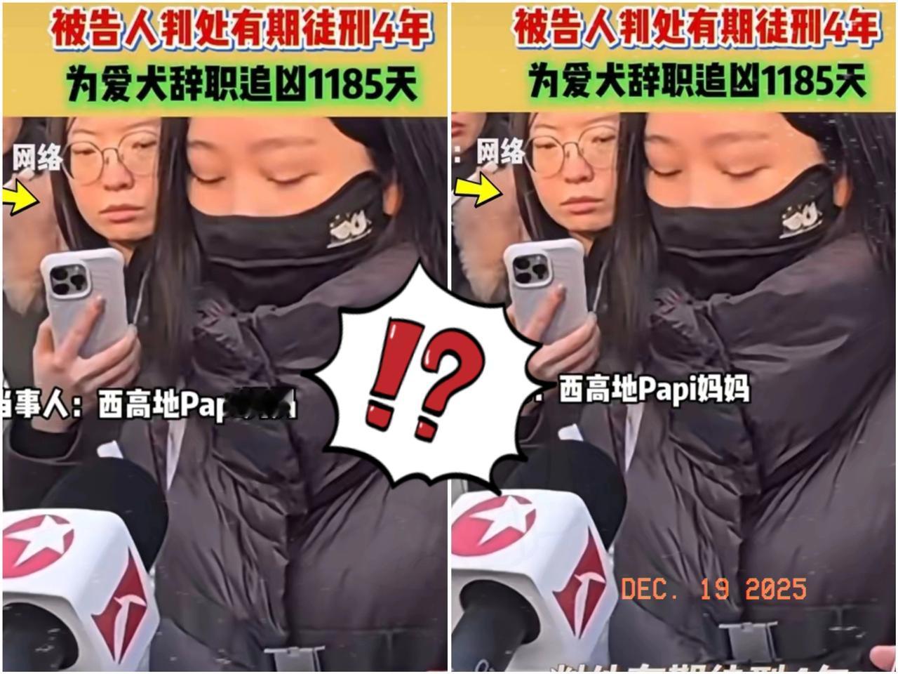 刚赢了官司，转头又定了新狗。
看李女士这架势，历史不仅会重演，恐怕还得加倍。
