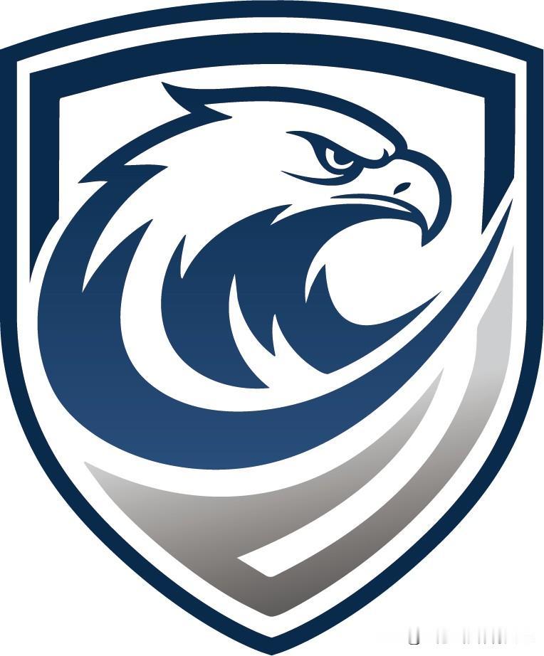 @广州蒲公英足球俱乐部 新队徽的寓意应该就是宣推视频里这句话了：一盾护南粤，一翼