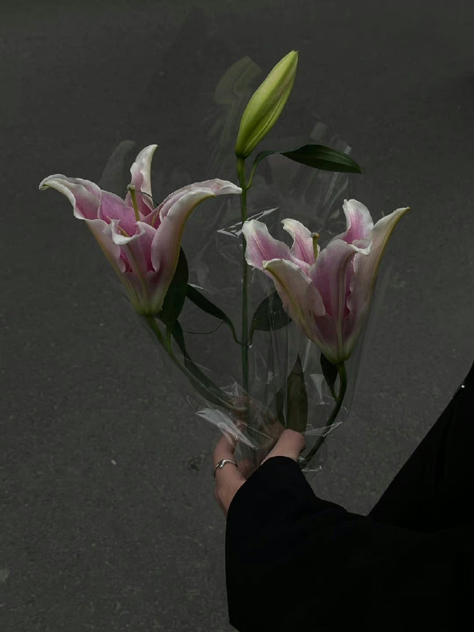 独宠，特例，偏爱，温柔，谁不喜欢呢。 