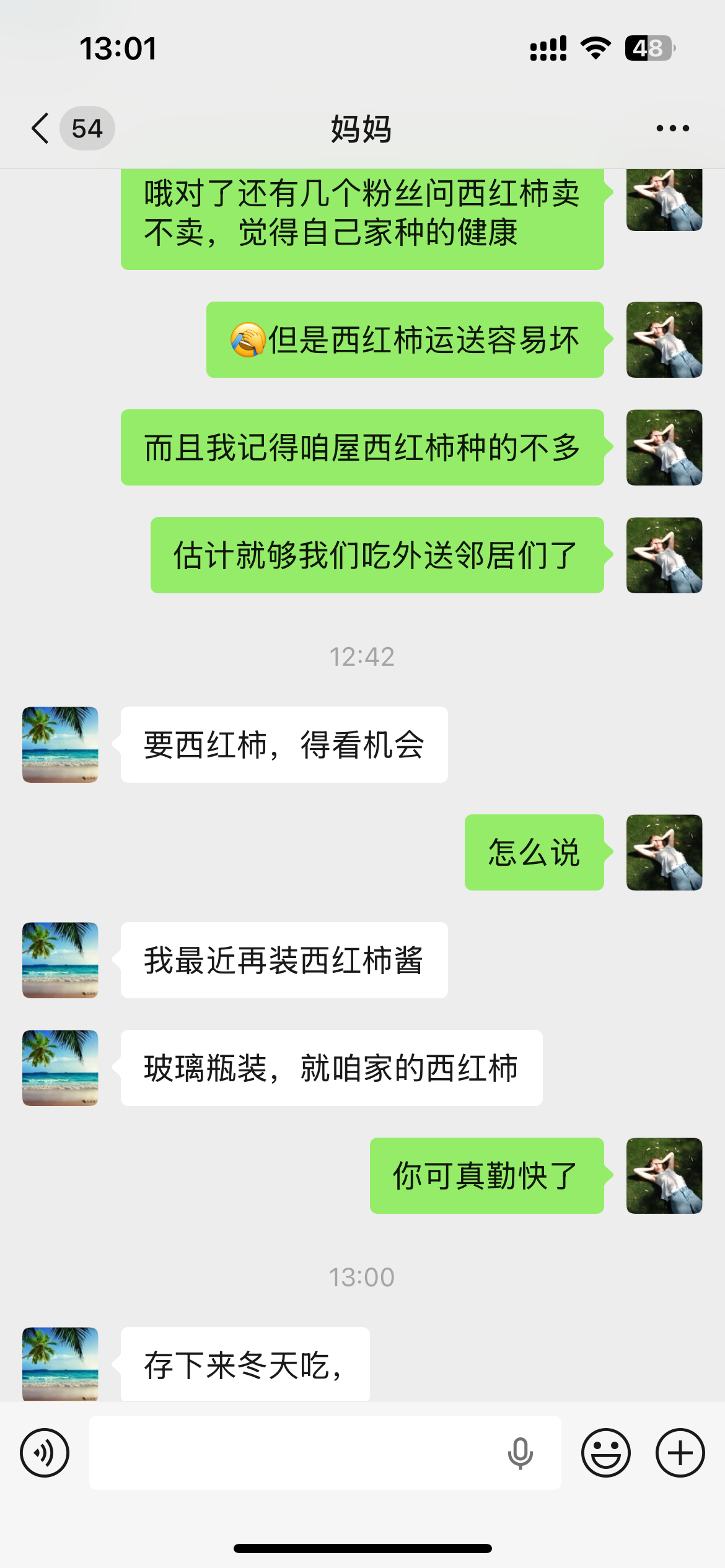 西红柿后续 
