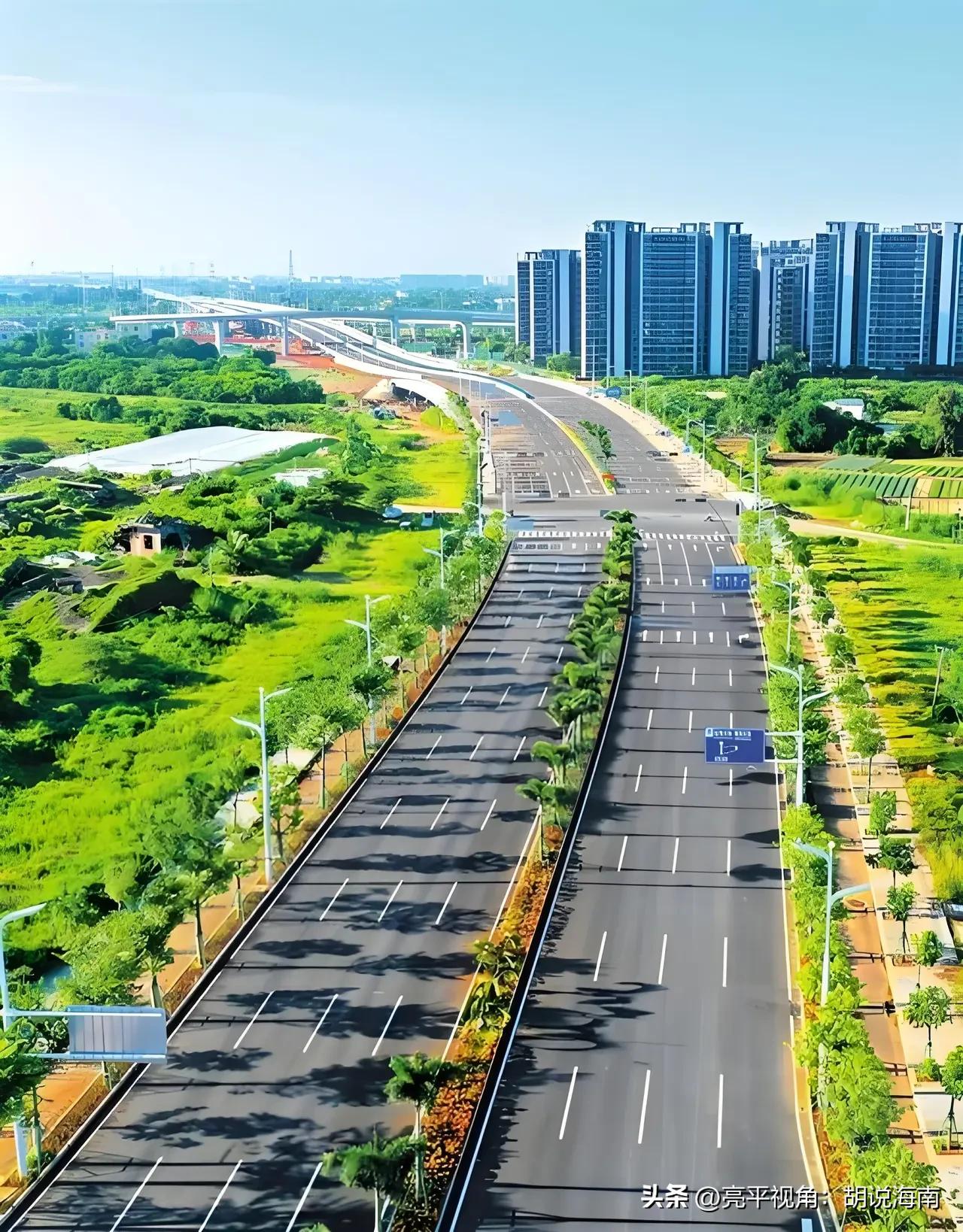 阳光洒满的宽敞江东大道，两旁绿树成荫，海口江东新区城市与自然和谐共存。绿树间漫步