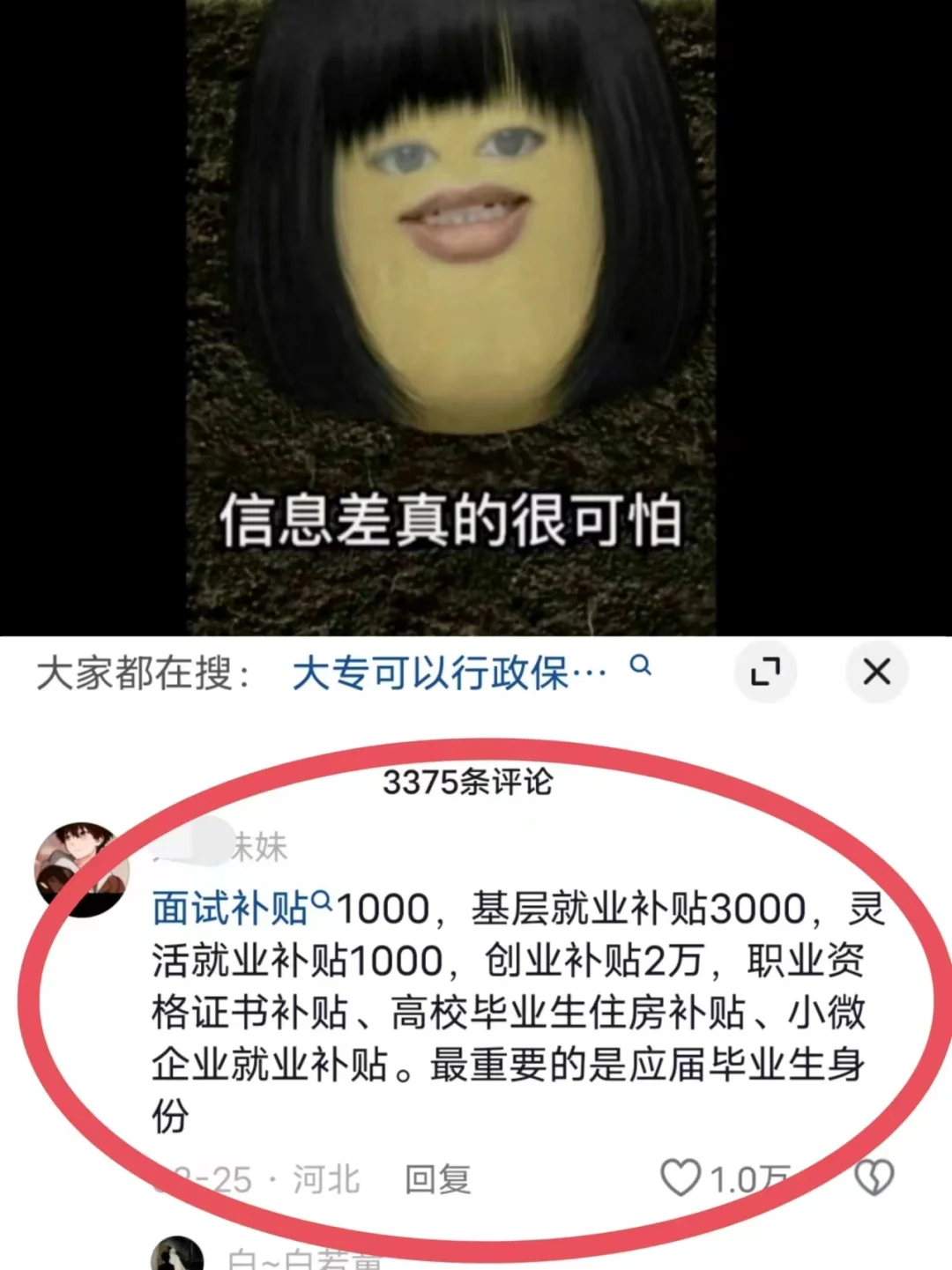 当我把打破大学信息差当做一门科目（攻略篇