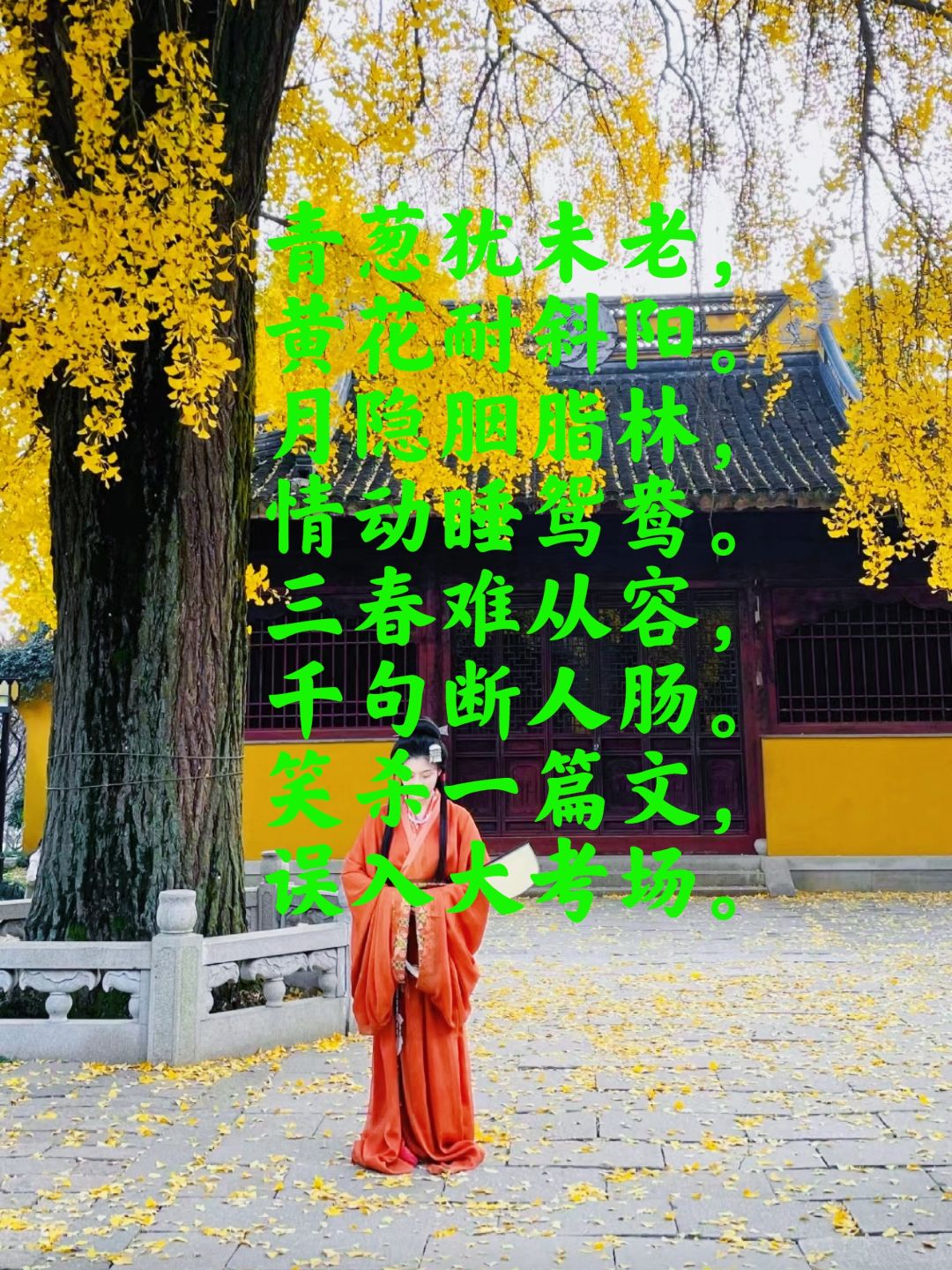 落于人间一笑